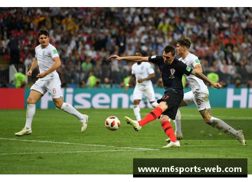 球员Amini：职业生涯和个人成就一览